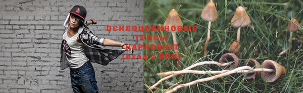молекула духа Бугульма