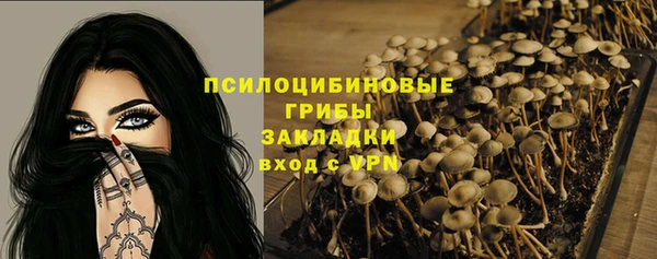 герыч Бронницы