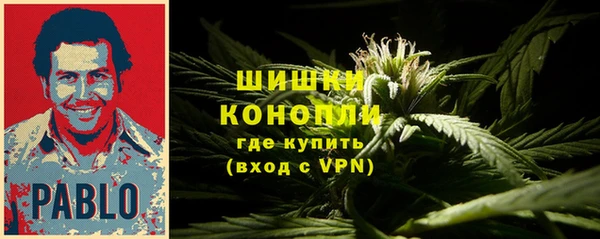 прущая мука Бородино