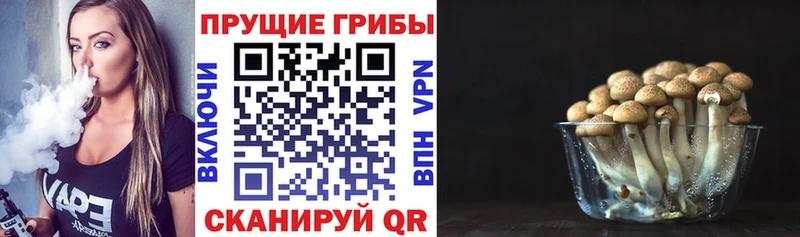 Галлюциногенные грибы GOLDEN TEACHER  Купить где  Алушта 